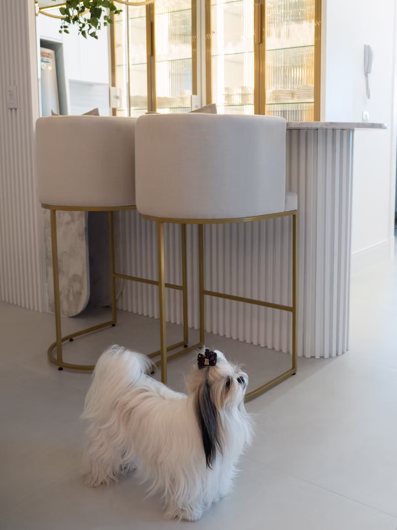 Imagem da galeria do projeto Apartamento Moderno